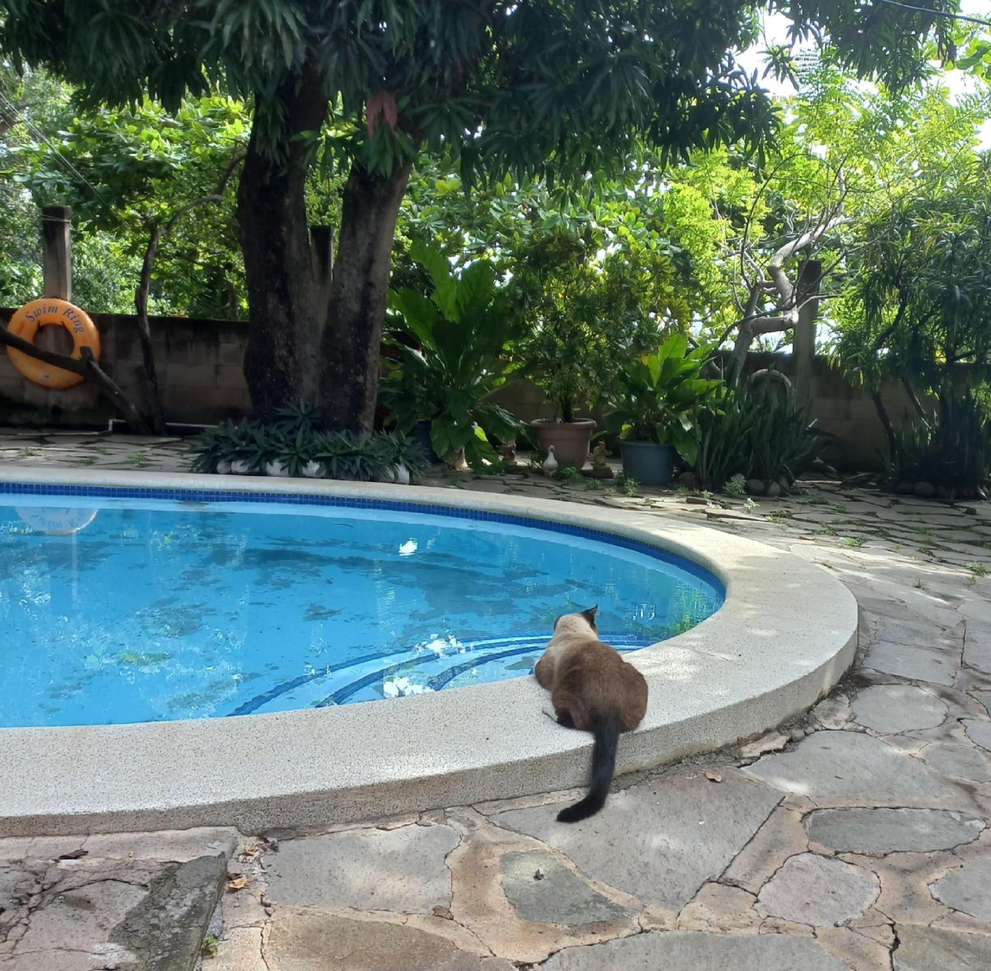 Вилла Casita Escondida- El Salvador Ла-Либертад Экстерьер фото